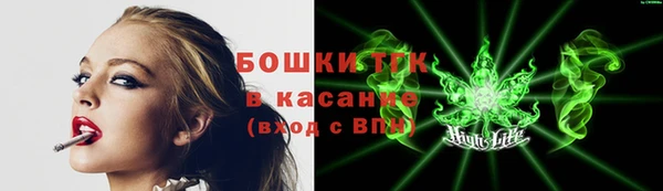индика Абдулино