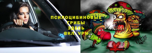 твердый Алексин
